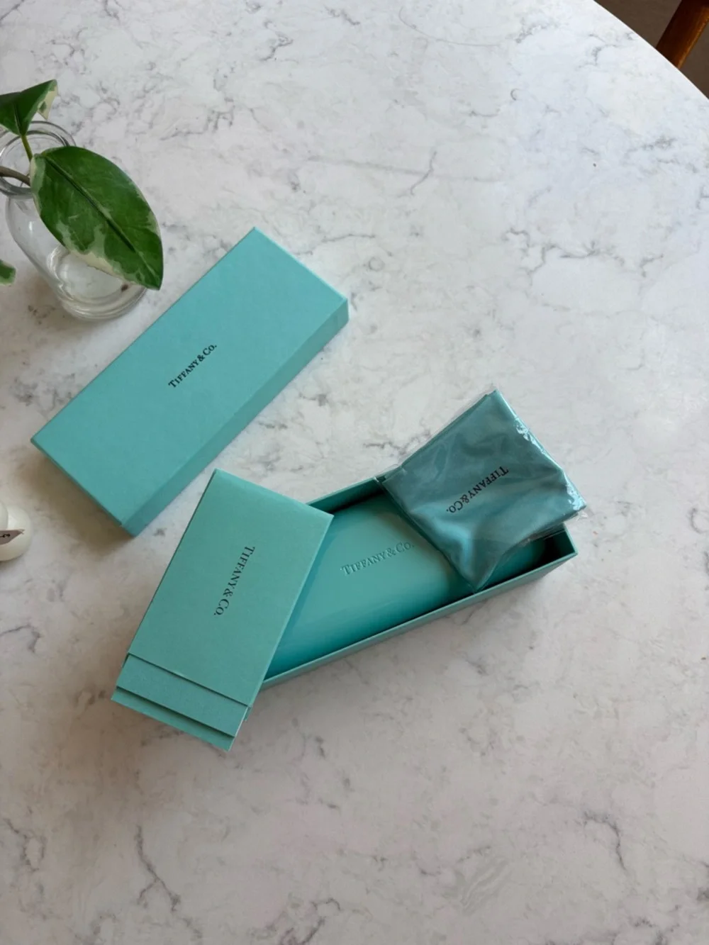 Tiffany & Co. Robin's Egg Blue Eyewear Case and Box Set